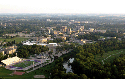 Example content image